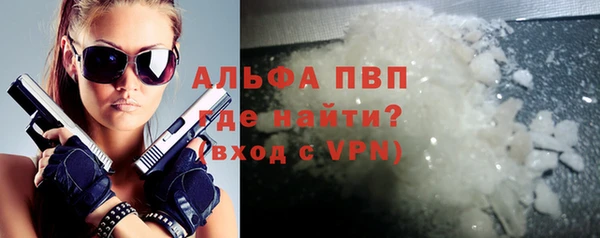 индика Белоозёрский