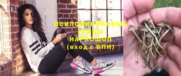 мдпв Белокуриха