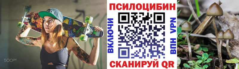 Псилоцибиновые грибы ЛСД  наркошоп  Магас 